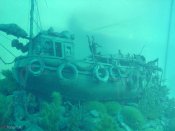 диорам морска.jpg