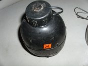 DSCI6299.JPG