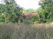 IMG_0508.JPG