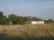 IMG_0509.JPG