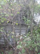 IMG_0512.JPG