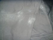 DSC09350.JPG
