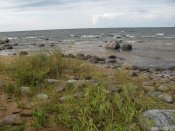 SDC11175.JPG