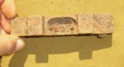 116.jpg