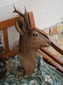DSCN3196.jpg