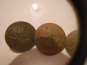DSCN6800.JPG