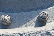 IMG_8326.JPG