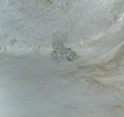 DSCN9924.jpg