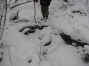 IMG_0024.jpg