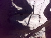 03092010006.jpg
