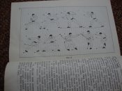 DSC06062.JPG