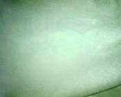 IMG_0007.JPG