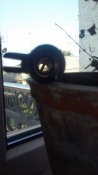 20150922_171142.jpg