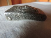 DSCN5042.JPG