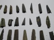 DSCN7684.JPG