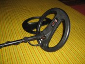 IMG_3868.jpg