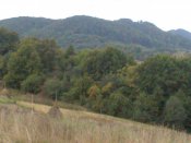 DSC_1114.jpg