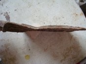 DSC05320.JPG