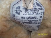 100_6984.JPG