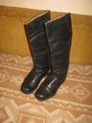 IMG_1236.jpg