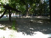 DSCN9805_1600.JPG