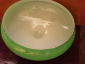 DSC00508.JPG