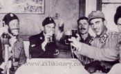 ndh-ustasha-chetniks.jpg