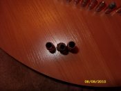 SDC11624.JPG