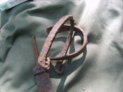 S8300010.JPG