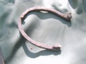 S8300008.JPG