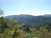 DSC03795.JPG