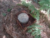 DSC03792.JPG