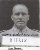 tensfeld_willy.jpg