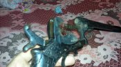 29072011613.jpg