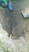 IMAG1451.jpg