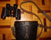 DSC03594.jpg