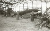 Il10-4.jpg