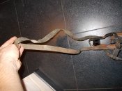 DSCN5530.JPG