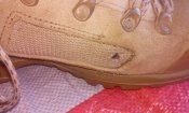 20151003_143145.jpg
