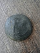 DSC01384.JPG