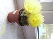 100_1763.jpg