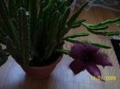 100_2092.jpg