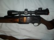SAM_8009.JPG