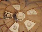 DSCN8516.JPG