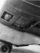 2_underwing.JPG
