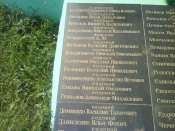 DSC00667.jpg