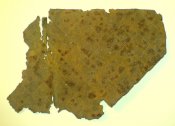 DSC01712.JPG