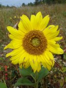 DSC08615.jpg