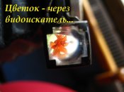 IMG_0023.JPG