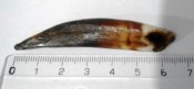20151006141531.jpg